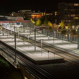 Lelystad Station (NL) van Tom Smit