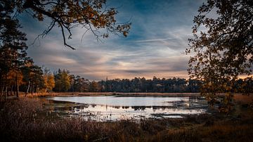 Galderse heide te Breda vergezicht