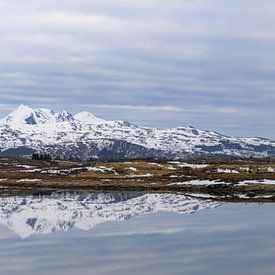 Panorama Lofoten van Martin Jansen