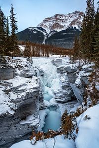 Athabasca falls von Luc Buthker