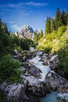 Beekje met bergtop erachter
