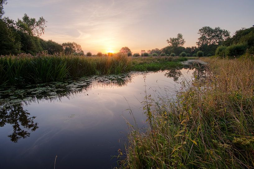 Kleine Dommel van Joep de Groot