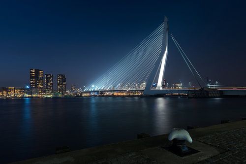 Rotterdam: Erasmusbrug at night
