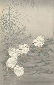 Five chicks from Ohara Koson