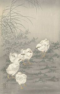 Fünf Küken von Ohara Koson
