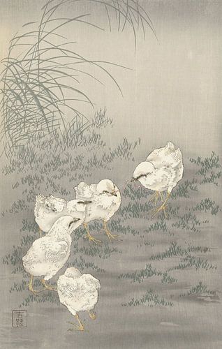 Vijf kuikens van Ohara Koson