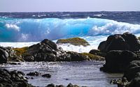 Noord kust Aruba