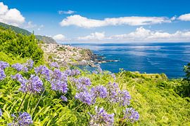 Le muguet fleurit devant une vue sur le village côtier de Seixal, sur l'île de Madère, par une belle sur Sjoerd van der Wal Photographie