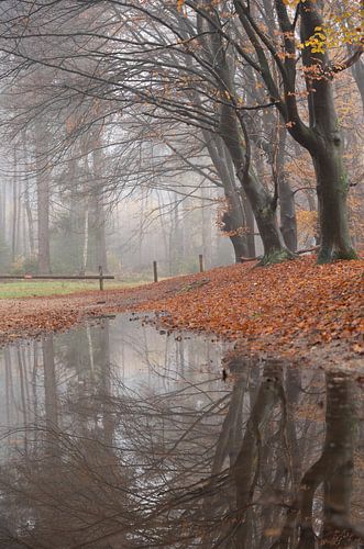 Reflectie