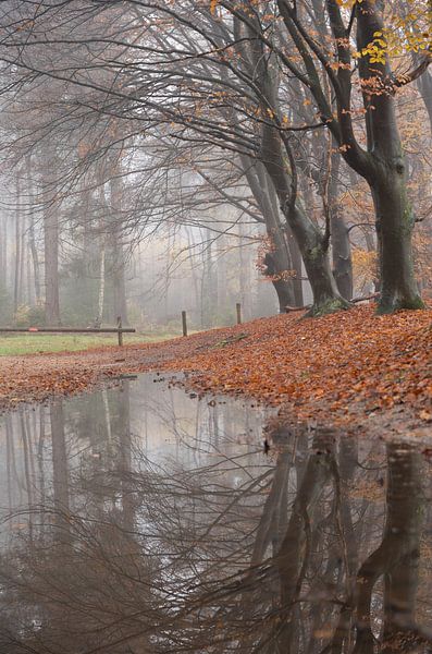 Reflexion von Marloes ten Brinke