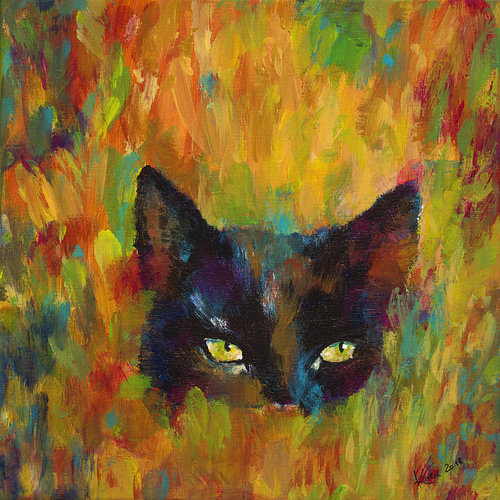 Black cat