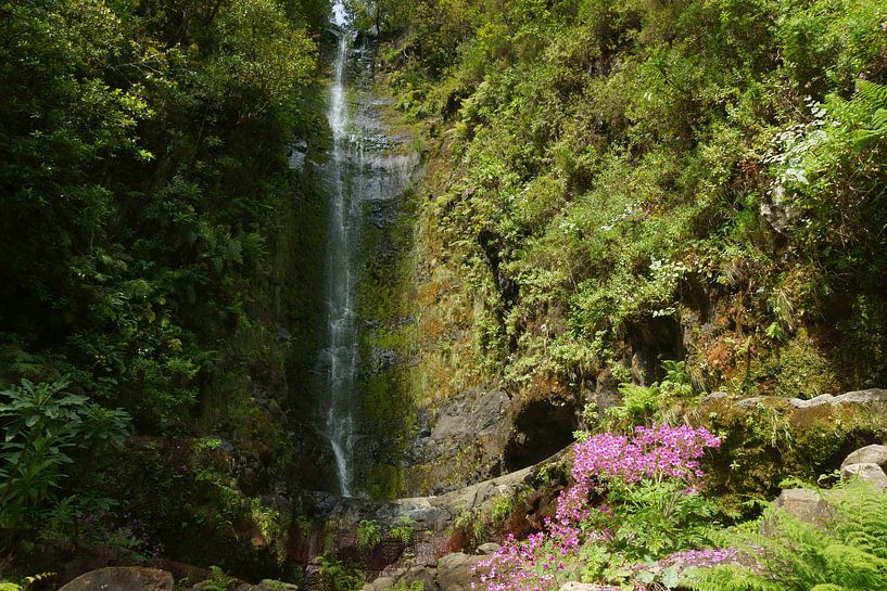 Waterval en roze bloemen by Michel van Kooten