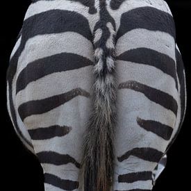 De achterkant van een zebra. van Erik de Rijk