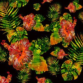 Hawaii no. 1 by Andreas Wemmje