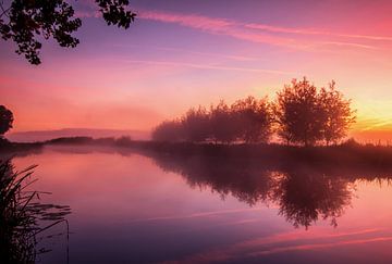 Magical morning by Ilya Korzelius