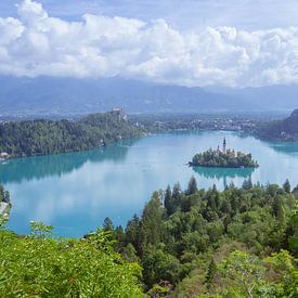 Lake Bled – Slovenië van Sander van Hemert
