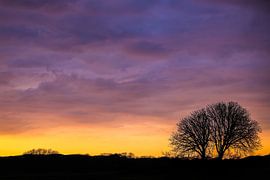 "Watching Sunsets Forever, Tangled Together" von Studio Mens