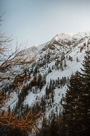 Achensee | Winter in the Alps by Nanda van der Eijk