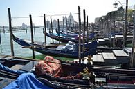 Venetië, Italië, Canal Grande aanlegsteiger gondels van Getty Betlem thumbnail