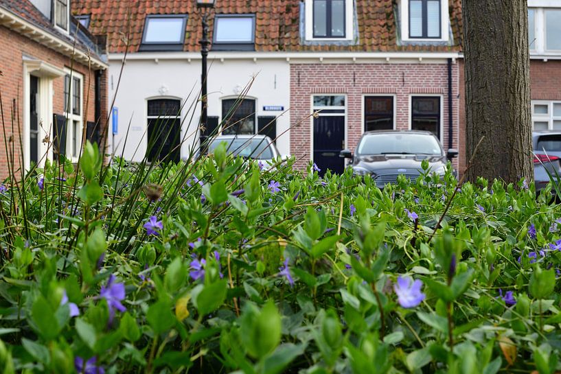 Block house à Harderwijk (printemps) par Gerard de Zwaan