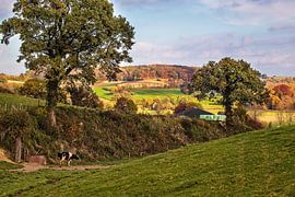 Eyserbos von Rob Boon