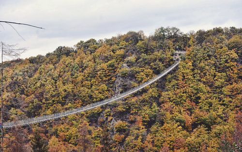 Suspension Bridge Geierlay