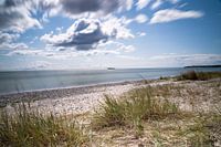 Danish beach at Draaby Ebeltoft