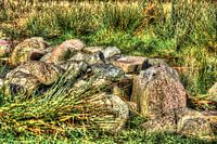 Messchenveld Assen