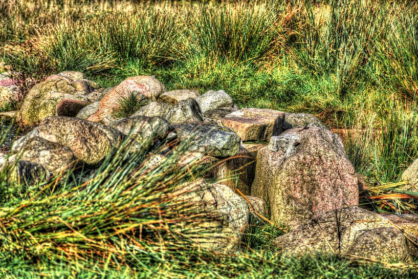 Messchenveld Assen par Quick Fotografie