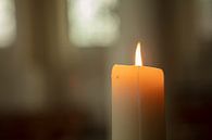 candlelight by anne droogsma thumbnail