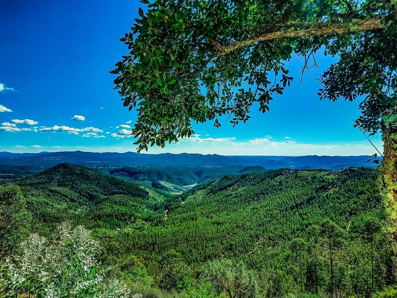 Enchanting mountain range with forests in summer in Portugal by Wildlife Designs