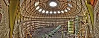 The Dome above our brains (2017)