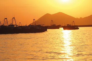 Port de pêche de Hong Kong sur Inge Hogenbijl