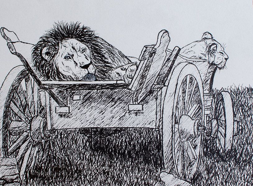 Lions paresseux par Liv ter Riet