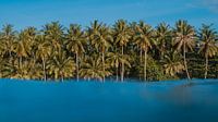 Tropisch eiland van Andy Troy thumbnail
