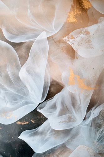Transparent textures