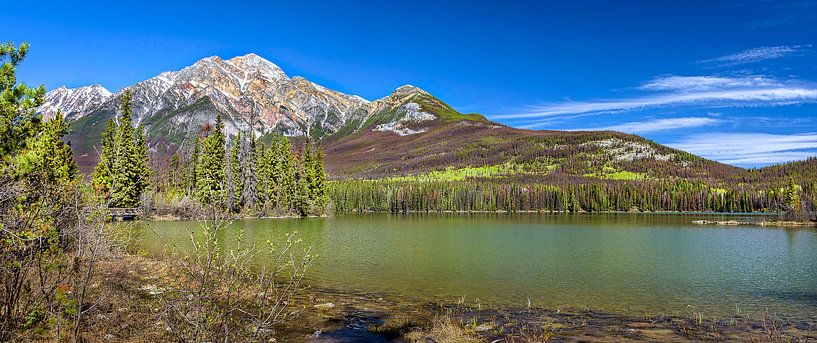 Island in Pyramidlake, Jasper National Park, Canada by Rietje Bulthuis
