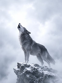 Un loup gris solitaire hurlant sur la crête d'une montagne brumeuse sur Dodik Hariyono