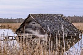 BADEN-WÜRTTEMBERG : BAD BUCHAU - FEDERSEE sur Photoart-Naegele