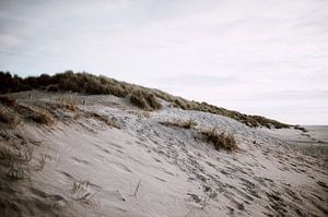 Dune près de la plage d'Ameland sur Holly Klein Oonk