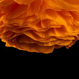 Orangefarbene Blume als Kronleuchter von Ton de Koning