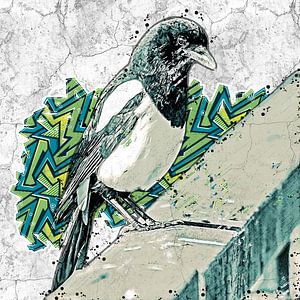 Elster auf einem Brückengeländer (Graffiti-Kunst)