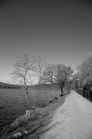 Impressionen vom Baldeneysee in Essen, Deutschland von Bianca Meyering Fotos - BMF