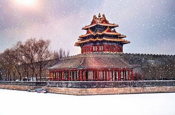 Winters beeld van de Verboden Stad in Beijing (Paleis museum) van Chihong