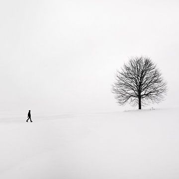 Wandelaar in de sneeuw van by Maria