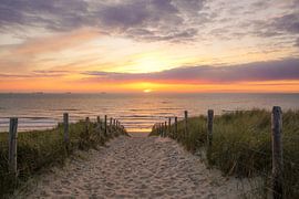 Strandopgang aan zee van Dirk van Egmond