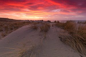 Beautiful sunset in deserted Dunes sur Rob Kints