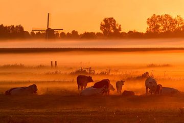 Hollands Landschap met Koeien, Mist en Molen met Zonsopkomst van Roeselien Raimond