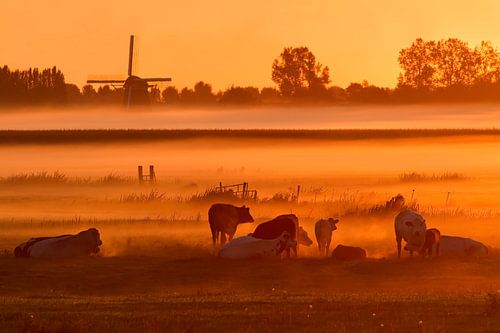 Hollands Landschap met Koeien, Mist en Molen met Zonsopkomst