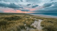 The dunes